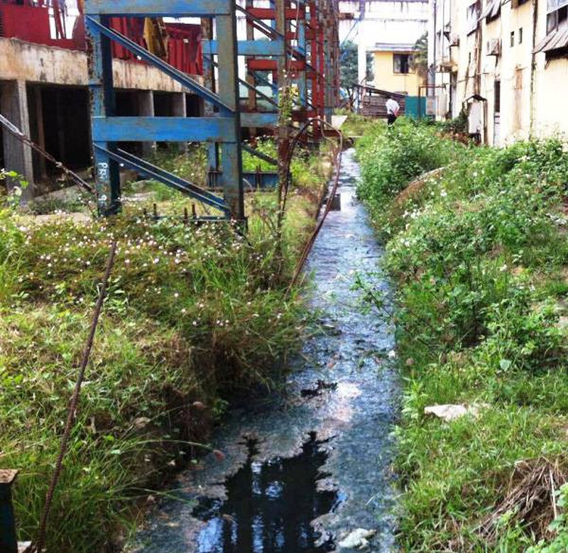 Nhà máy đường Bình Định bị dừng hoạt động do ô&nbsp;nhiễm